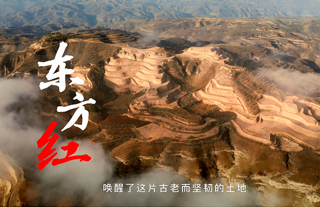 &#20048;&#40060;&#40;&#20013;&#22269;&#41;&#108;&#101;&#121;&#117;